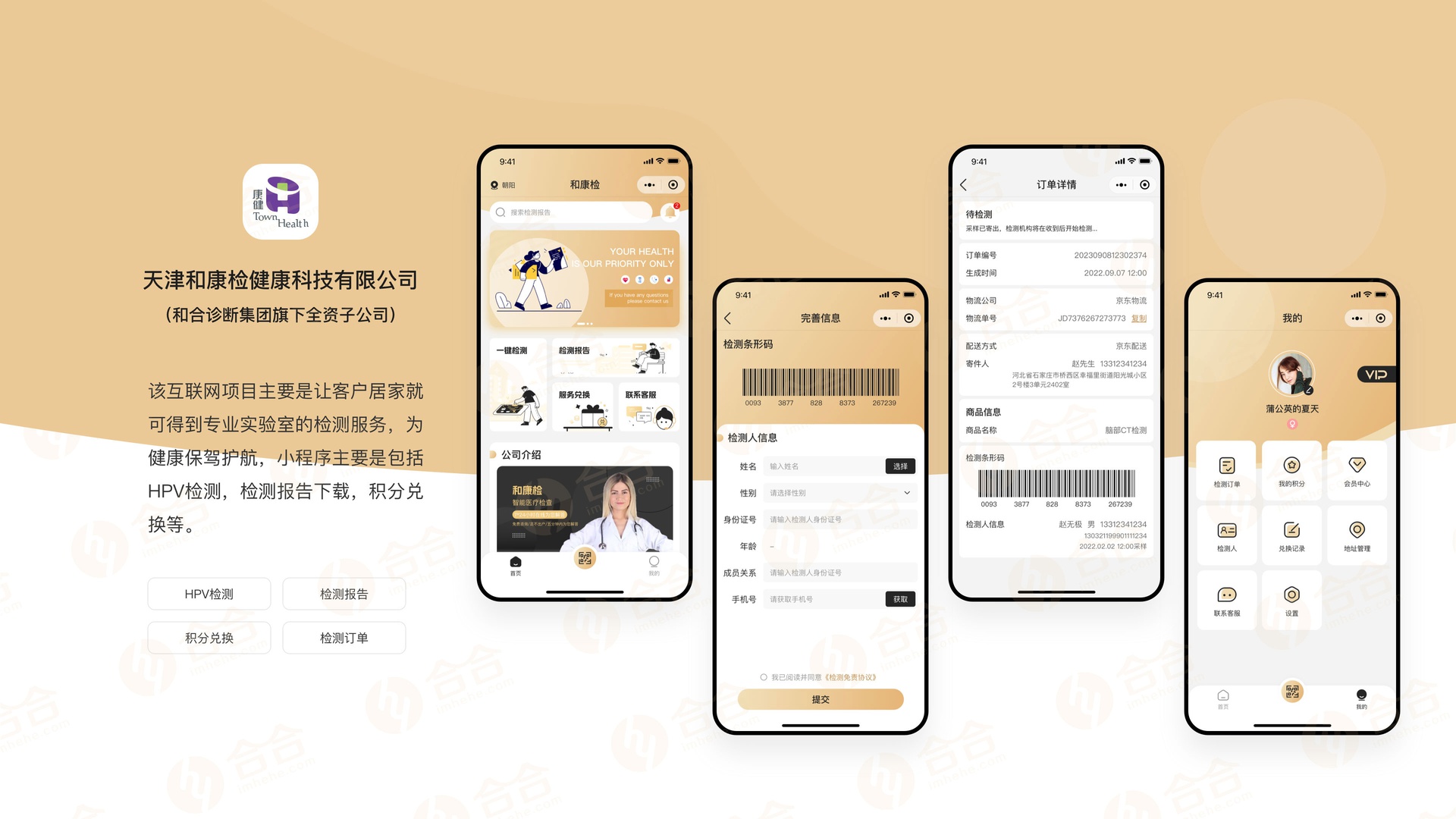 软件开发
