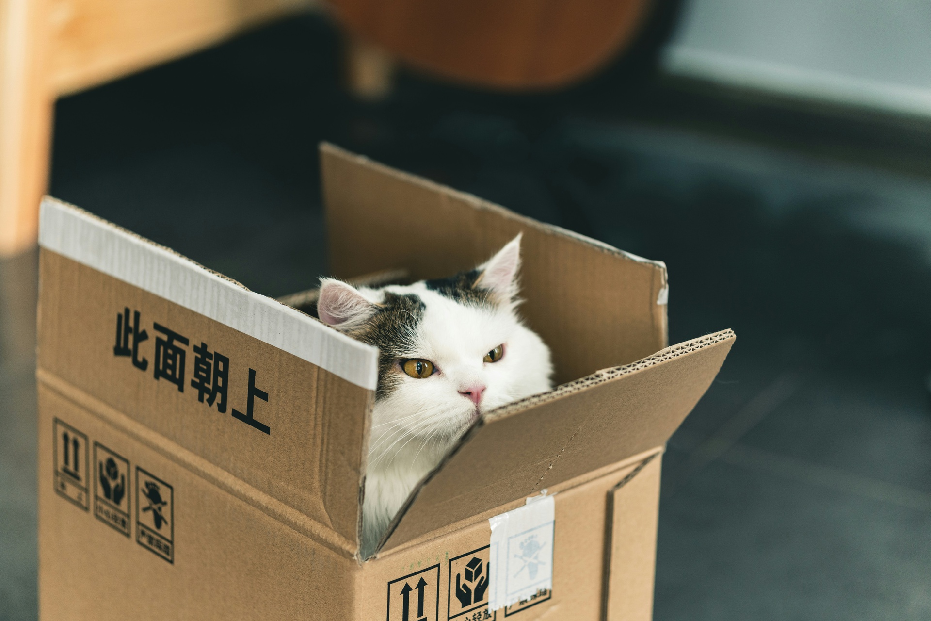 商品抽取与展示