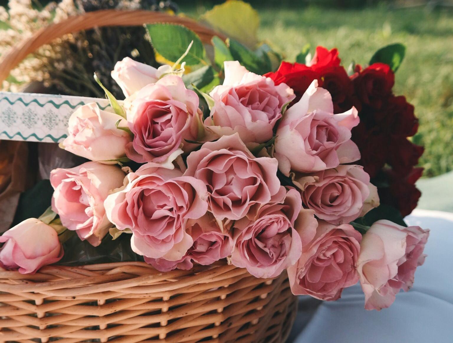 鲜花批发App