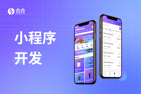 2026年北京小程序开发公司调研：企业数字化选型避坑参考